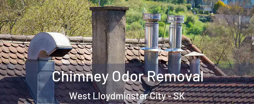  Chimney Odor Removal West Lloydminster City - SK