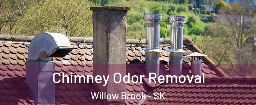  Chimney Odor Removal Willow Brook - SK