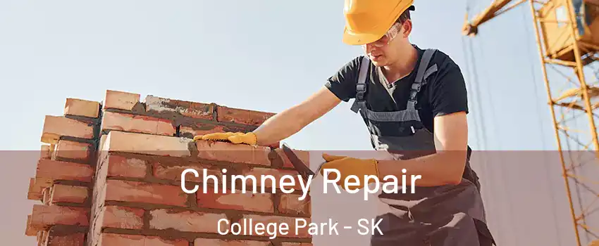  Chimney Repair College Park - SK