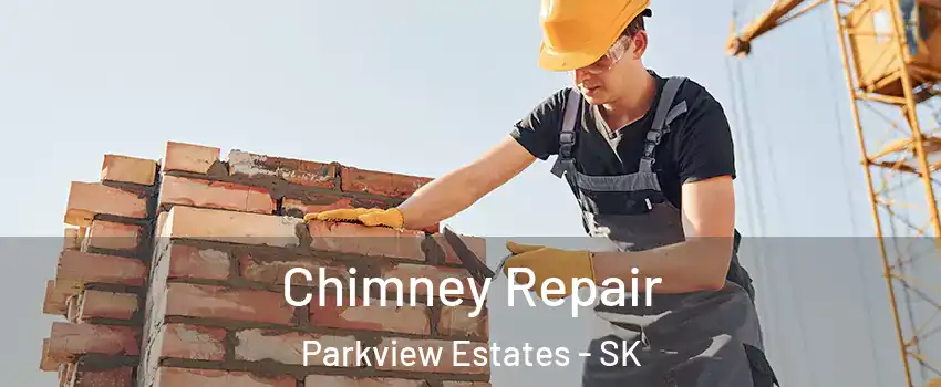  Chimney Repair Parkview Estates - SK