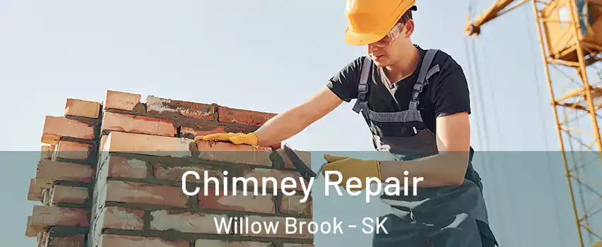  Chimney Repair Willow Brook - SK