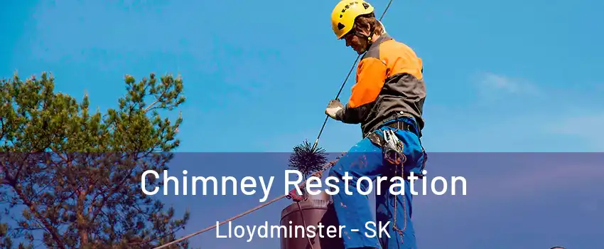  Chimney Restoration Lloydminster - SK