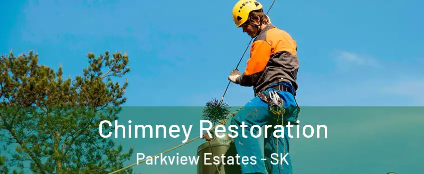  Chimney Restoration Parkview Estates - SK