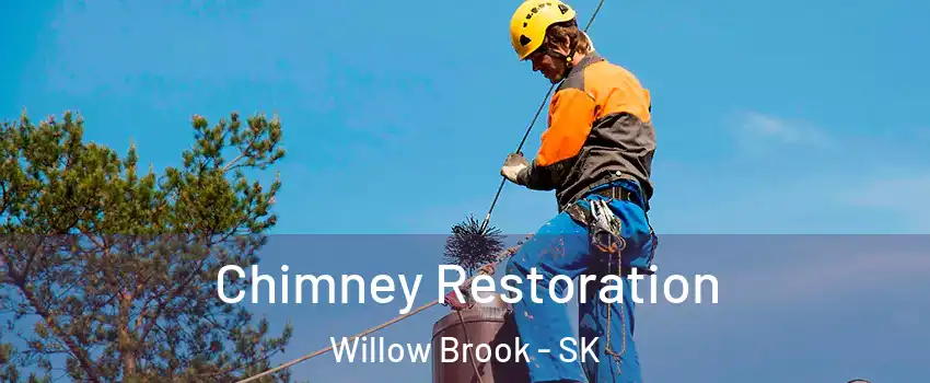  Chimney Restoration Willow Brook - SK