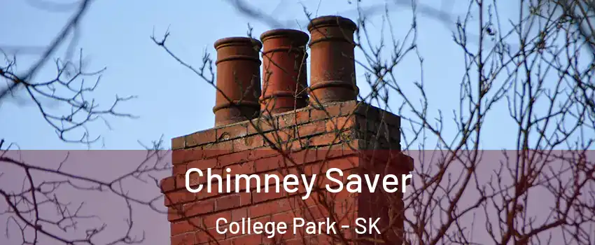  Chimney Saver College Park - SK