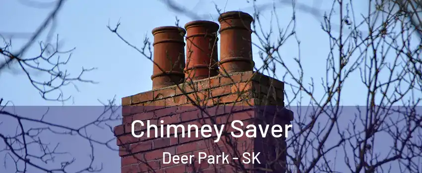  Chimney Saver Deer Park - SK