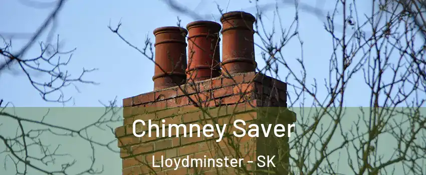  Chimney Saver Lloydminster - SK