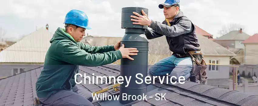  Chimney Service Willow Brook - SK