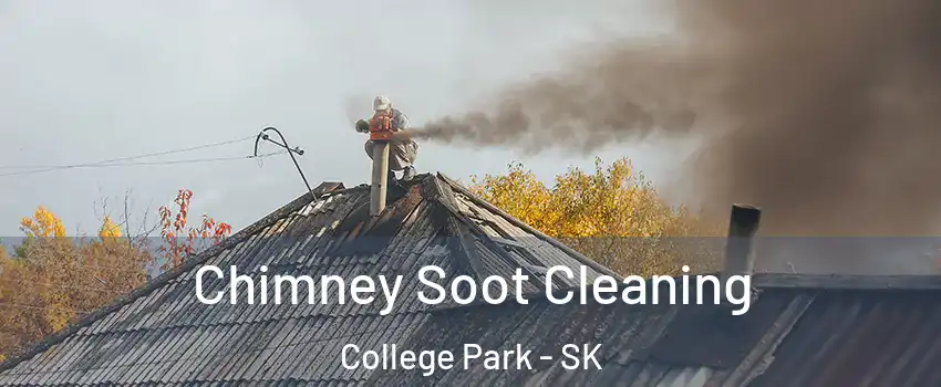  Chimney Soot Cleaning College Park - SK