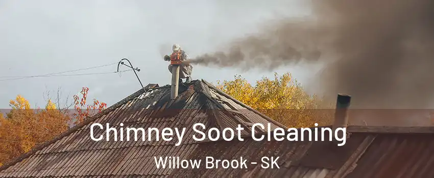  Chimney Soot Cleaning Willow Brook - SK
