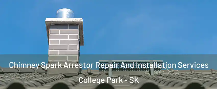  Chimney Spark Arrestor Repair And Installation Services College Park - SK