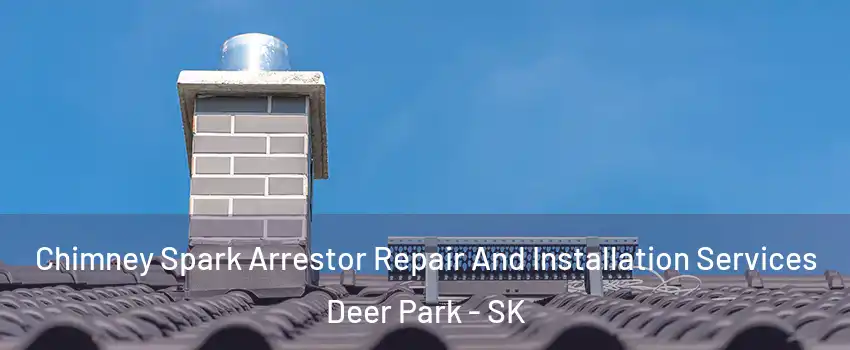 Chimney Spark Arrestor Repair And Installation Services Deer Park - SK