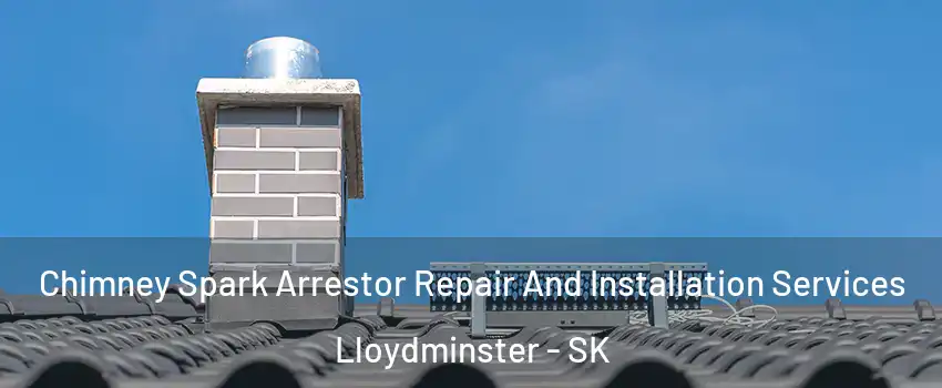  Chimney Spark Arrestor Repair And Installation Services Lloydminster - SK