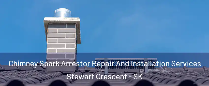  Chimney Spark Arrestor Repair And Installation Services Stewart Crescent - SK