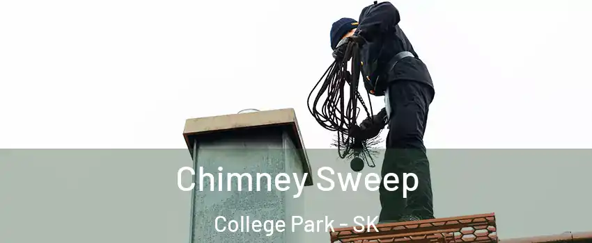  Chimney Sweep College Park - SK