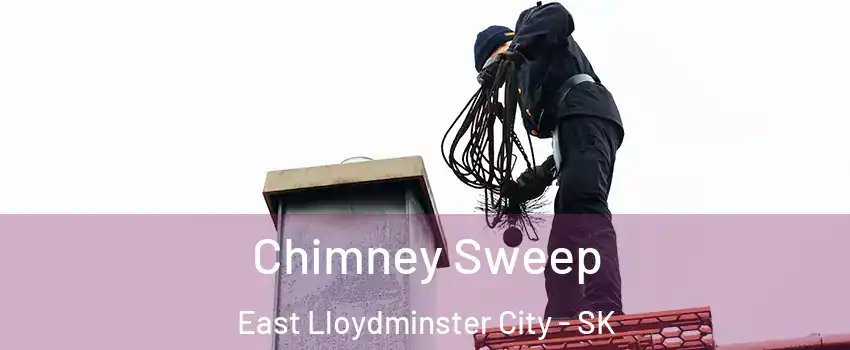  Chimney Sweep East Lloydminster City - SK