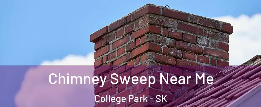 Chimney Sweep Near Me College Park - SK