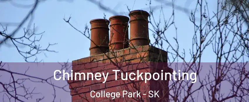  Chimney Tuckpointing College Park - SK