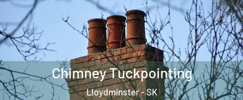 Chimney Tuckpointing Lloydminster - SK