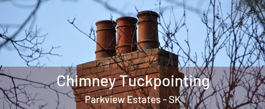  Chimney Tuckpointing Parkview Estates - SK