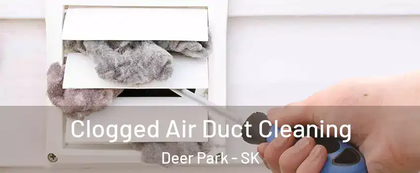  Clogged Air Duct Cleaning Deer Park - SK