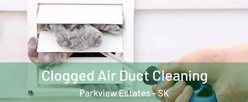  Clogged Air Duct Cleaning Parkview Estates - SK