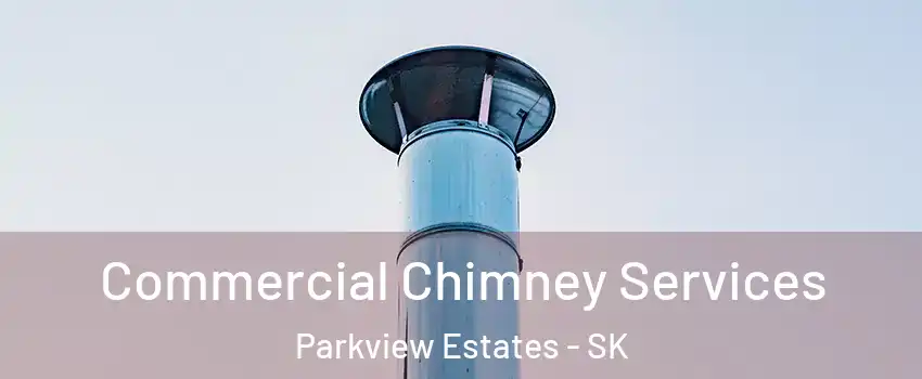  Commercial Chimney Services Parkview Estates - SK