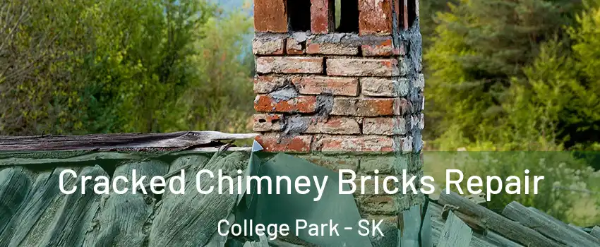  Cracked Chimney Bricks Repair College Park - SK