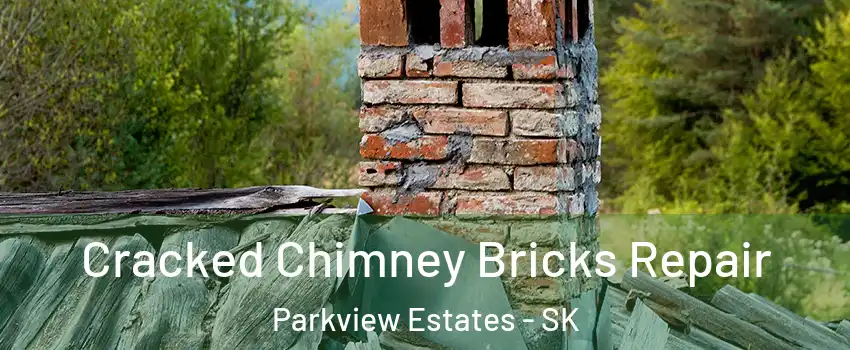  Cracked Chimney Bricks Repair Parkview Estates - SK
