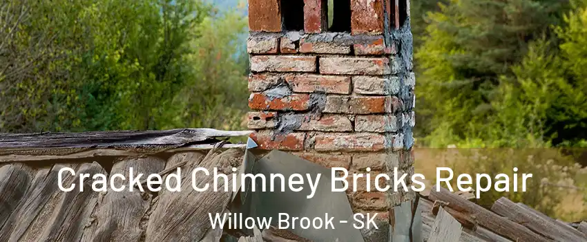  Cracked Chimney Bricks Repair Willow Brook - SK