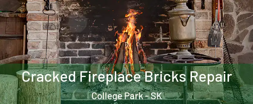 Cracked Fireplace Bricks Repair College Park - SK