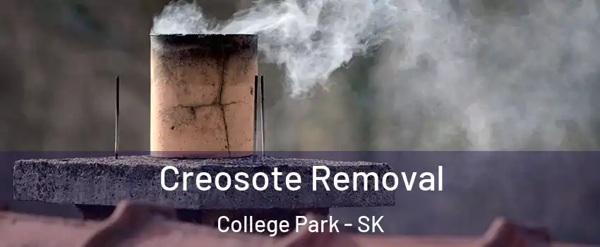  Creosote Removal College Park - SK
