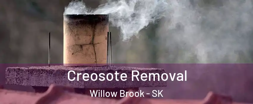  Creosote Removal Willow Brook - SK