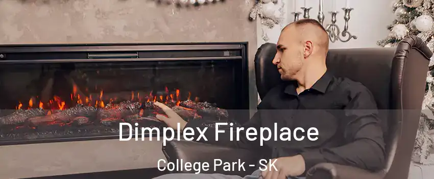  Dimplex Fireplace College Park - SK