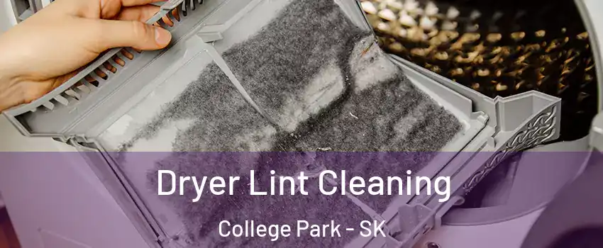  Dryer Lint Cleaning College Park - SK