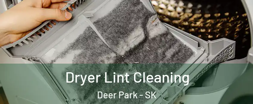  Dryer Lint Cleaning Deer Park - SK