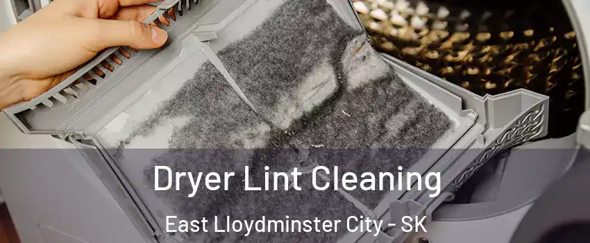  Dryer Lint Cleaning East Lloydminster City - SK