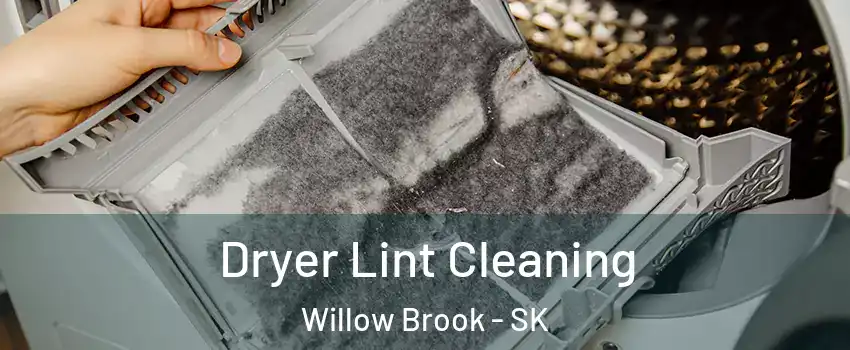  Dryer Lint Cleaning Willow Brook - SK