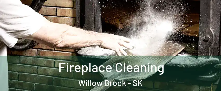  Fireplace Cleaning Willow Brook - SK