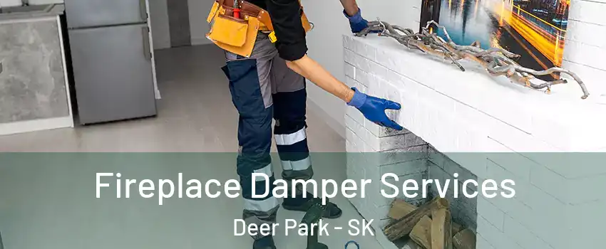  Fireplace Damper Services Deer Park - SK