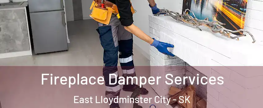 Fireplace Damper Services East Lloydminster City - SK