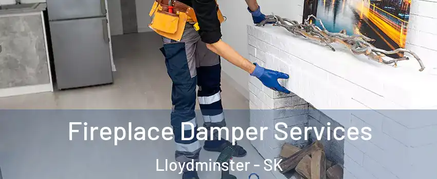 Fireplace Damper Services Lloydminster - SK