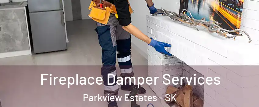 Fireplace Damper Services Parkview Estates - SK