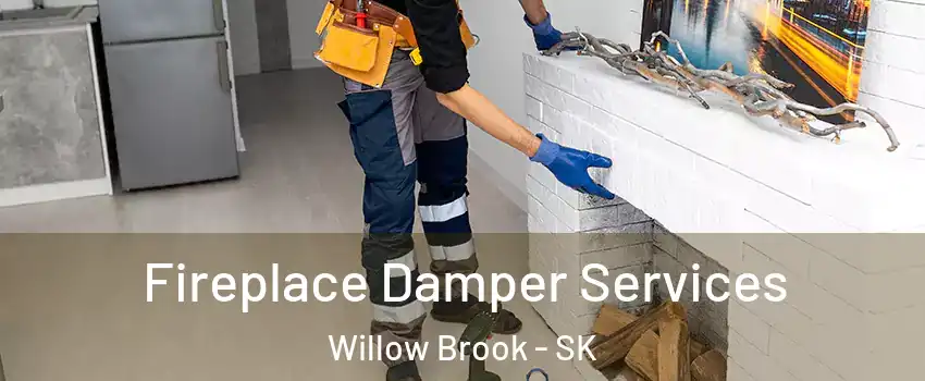 Fireplace Damper Services Willow Brook - SK