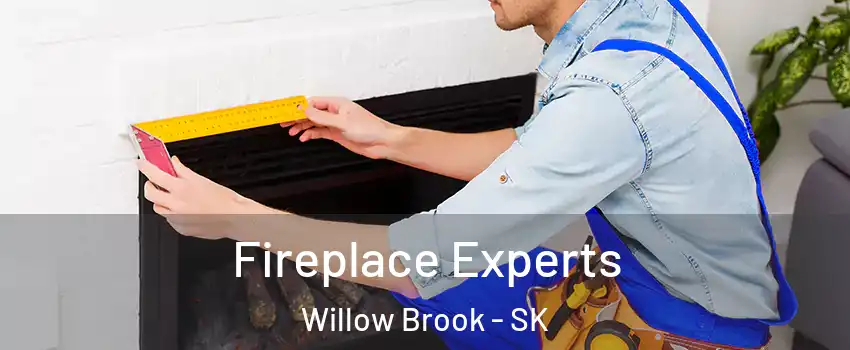  Fireplace Experts Willow Brook - SK