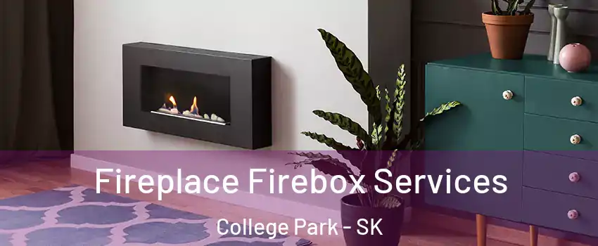  Fireplace Firebox Services College Park - SK