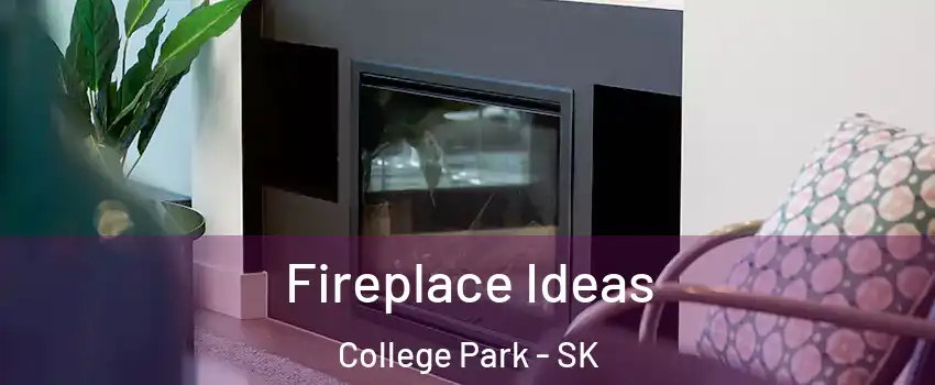  Fireplace Ideas College Park - SK