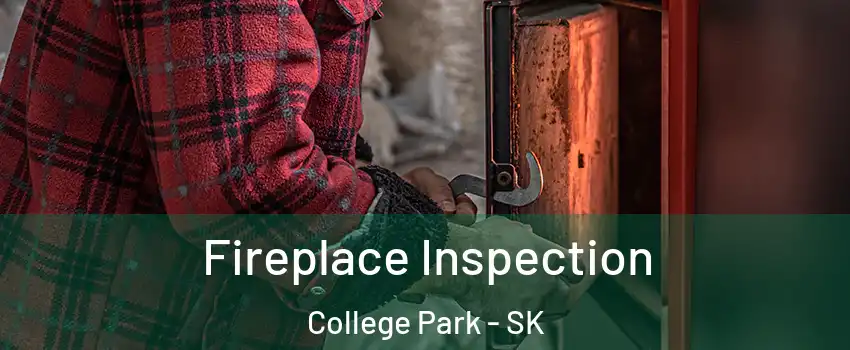  Fireplace Inspection College Park - SK