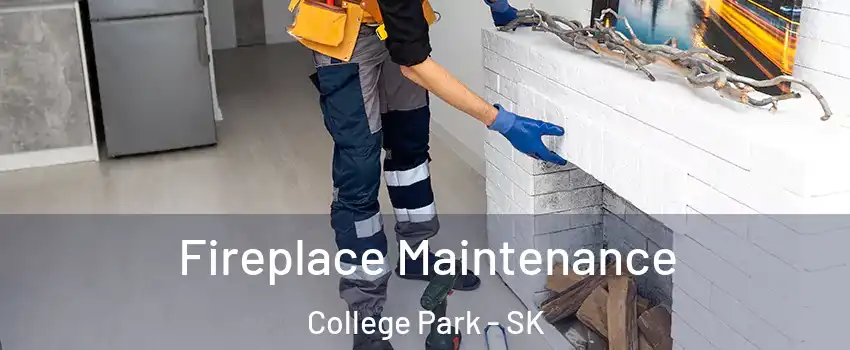  Fireplace Maintenance College Park - SK