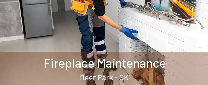  Fireplace Maintenance Deer Park - SK